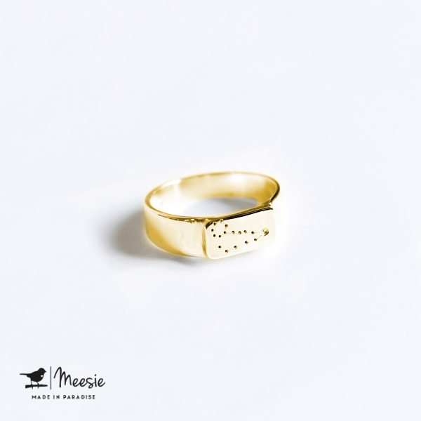 Ring Sterrenbeeld Vissen goud op zilver Ring Sterrenbeeld Vissen goud op zilver